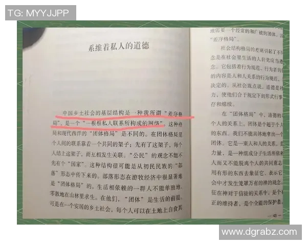 南京排球队的整体压制解析与战术深度探讨